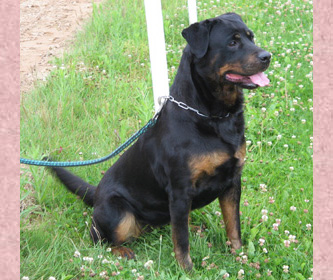 Elke de la Pe&ntilde;ota 7